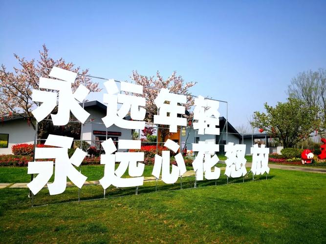 全年31個(gè)網(wǎng)絡(luò)文化活動(dòng),等你來(lái)!